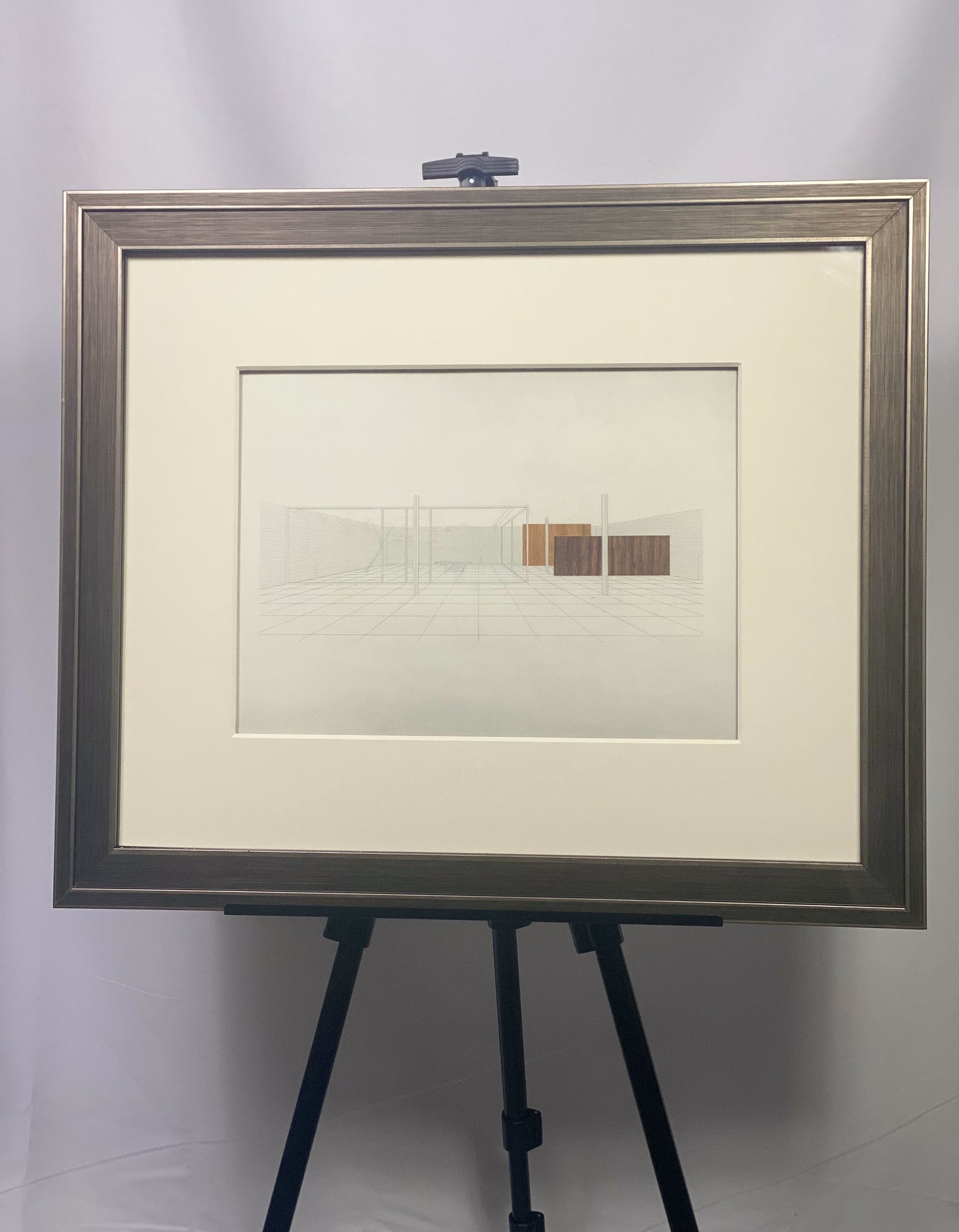 Mies VAN DER ROHE Limited Edition Lithograph "Row House"