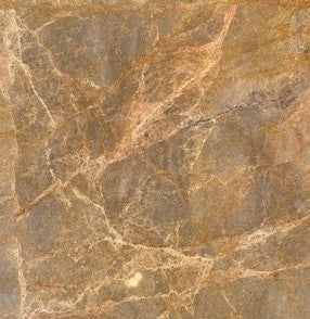 Gold Net Marble Polished